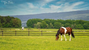 Letchworth Farm Guesthouses